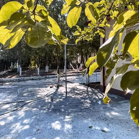 別荘 Casa Pescarilor Navodari